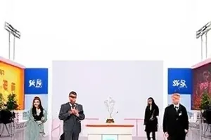 粉丝群截图封面：聊天气泡层叠与消息序号