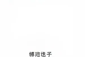 同框之后封面：双人剪影与画面分割线构图